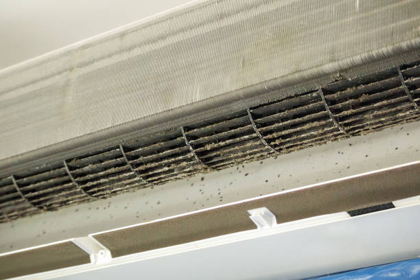 Best Ventilation Cleaning Services  in South Pasadena, FL